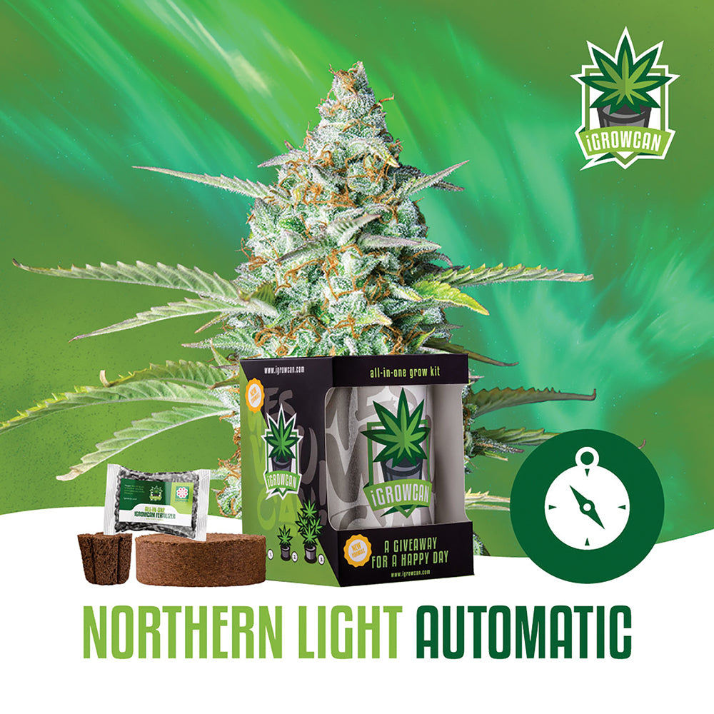 Northern Lights Automatic iGrowCan - All in One Grow Kit – SnowTree