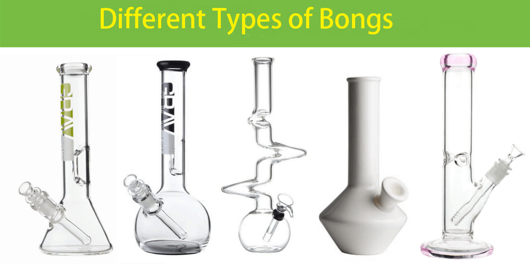 A Comprehensive Guide to Different Types of Bongs and Water Pipes