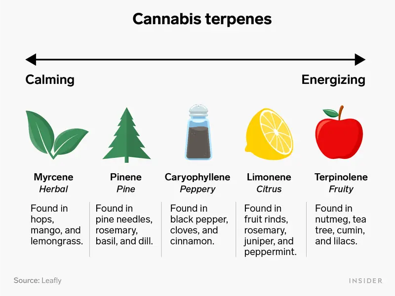 The Science of Terpenes: Unlocking the Aroma and Effects of Cannabis