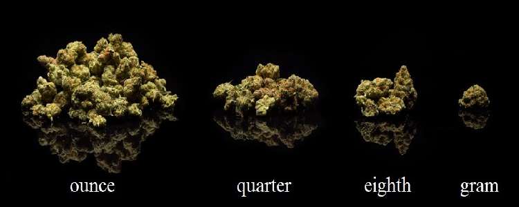 How many grams in an OZ? 🤔 – SnowTree