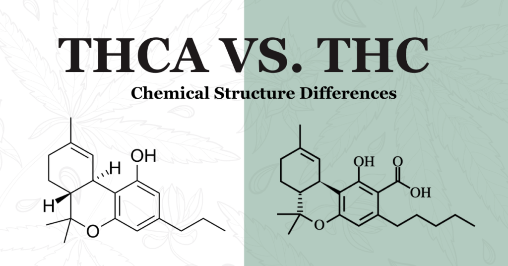 Understanding THC vs. THC-A vs. Delta-9: What You Need to Know