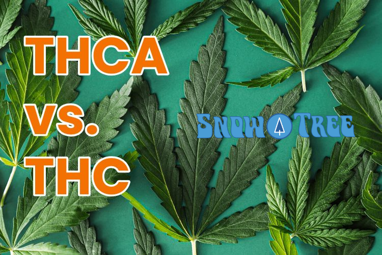 Understanding THCa: What is it and Is it legal?