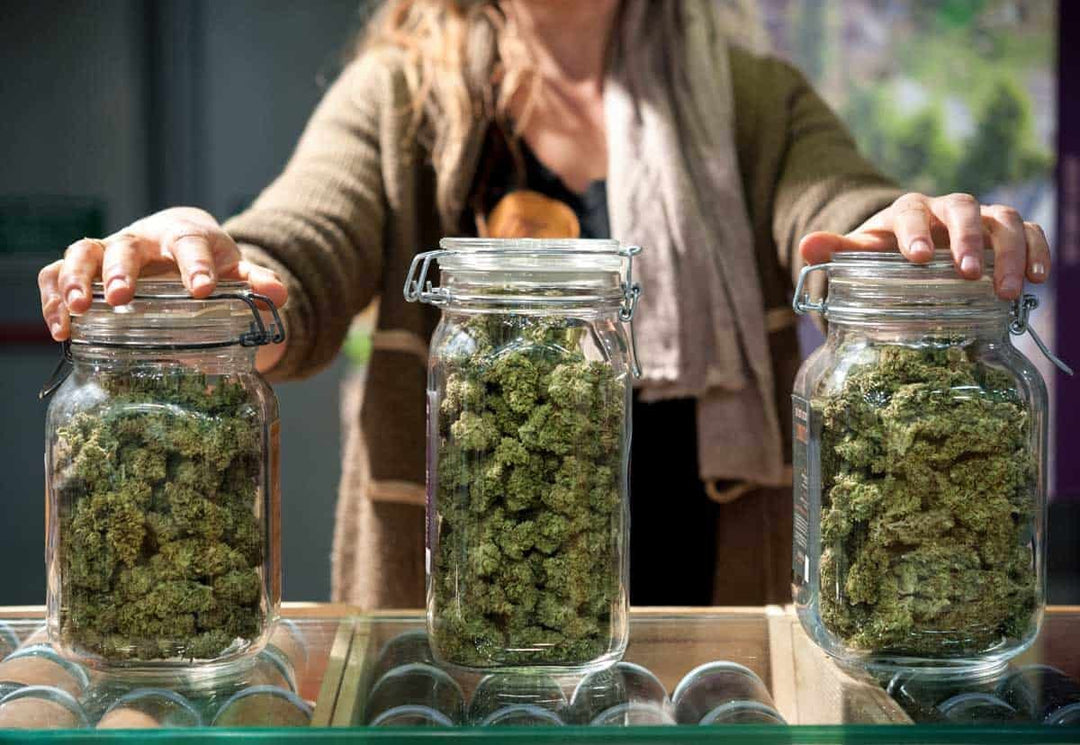 How to Properly Store Your Cannabis: A Comprehensive Guide