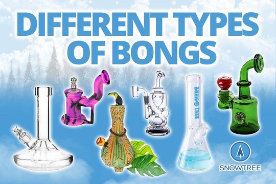 Different Types Of Bongs