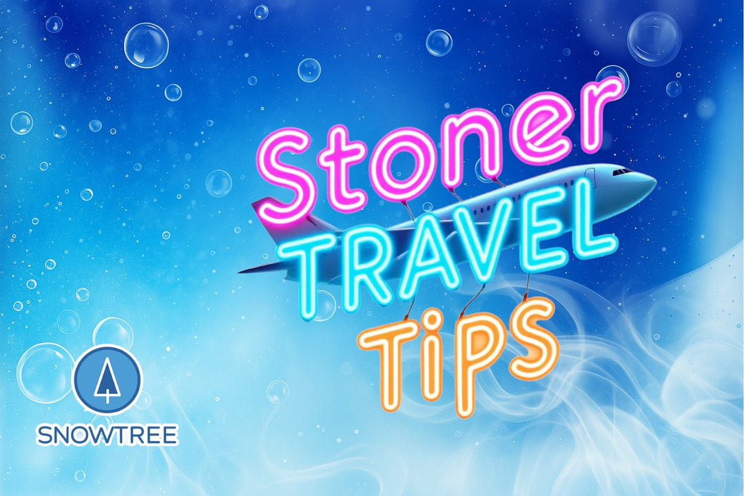The Ultimate Stoner Traveler's Guide ✈️🌿