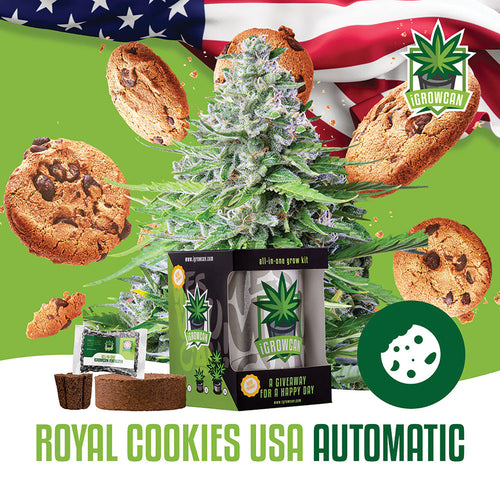 Grow Kit