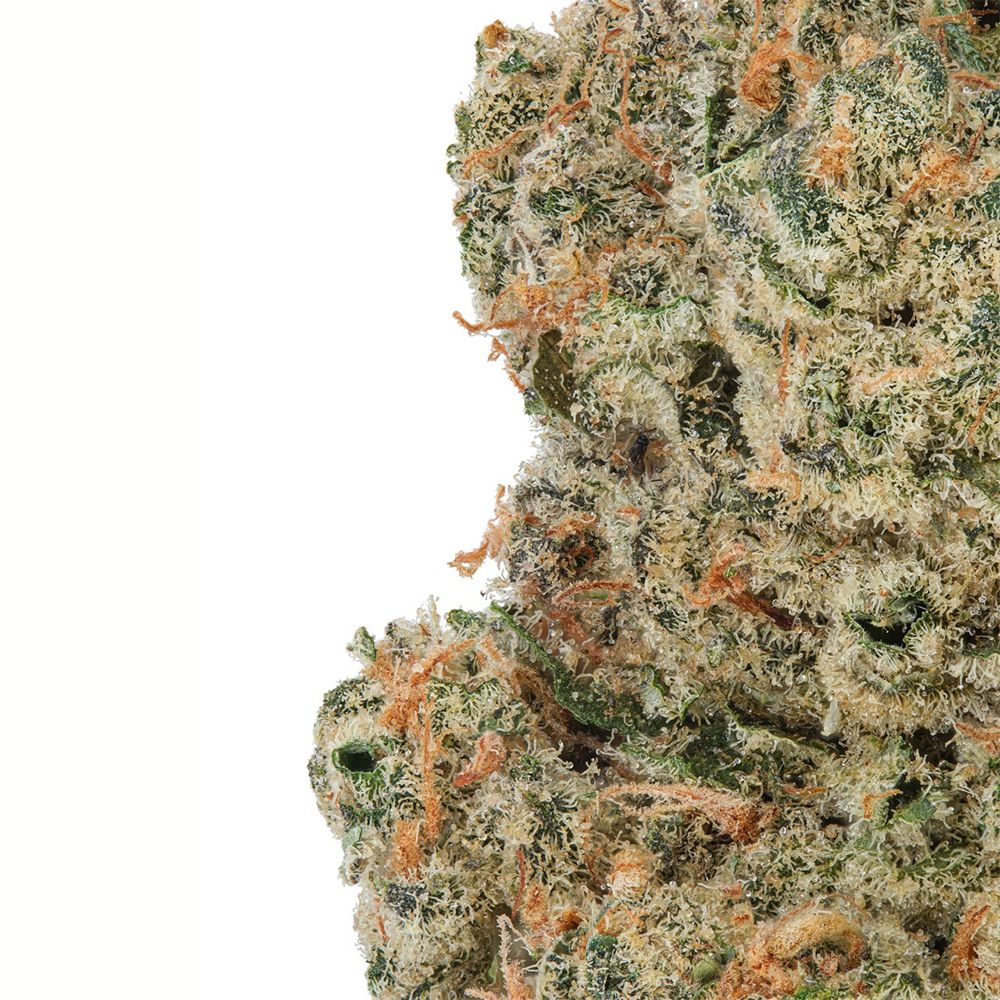 WNC High THCA Indoor Living Soil Flower | 3.5g