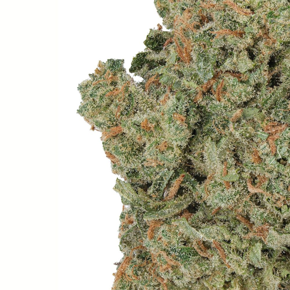 WNC High THCA Indoor Living Soil Flower | 3.5g