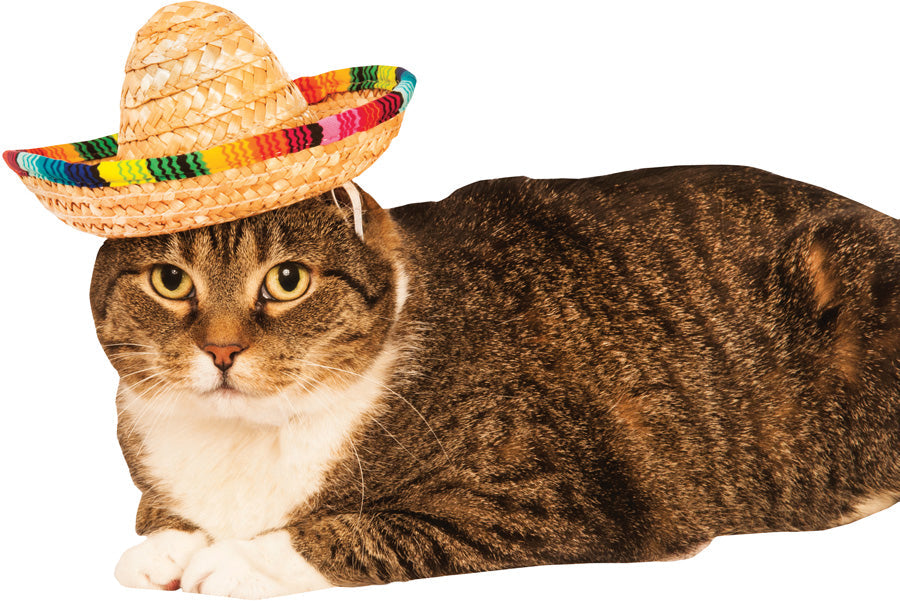 Pet Sombrero