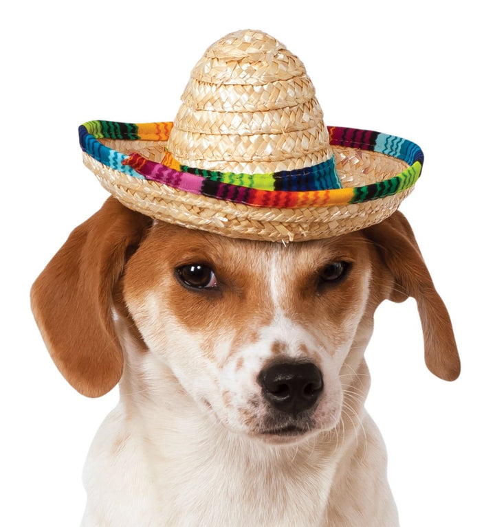 Pet Sombrero