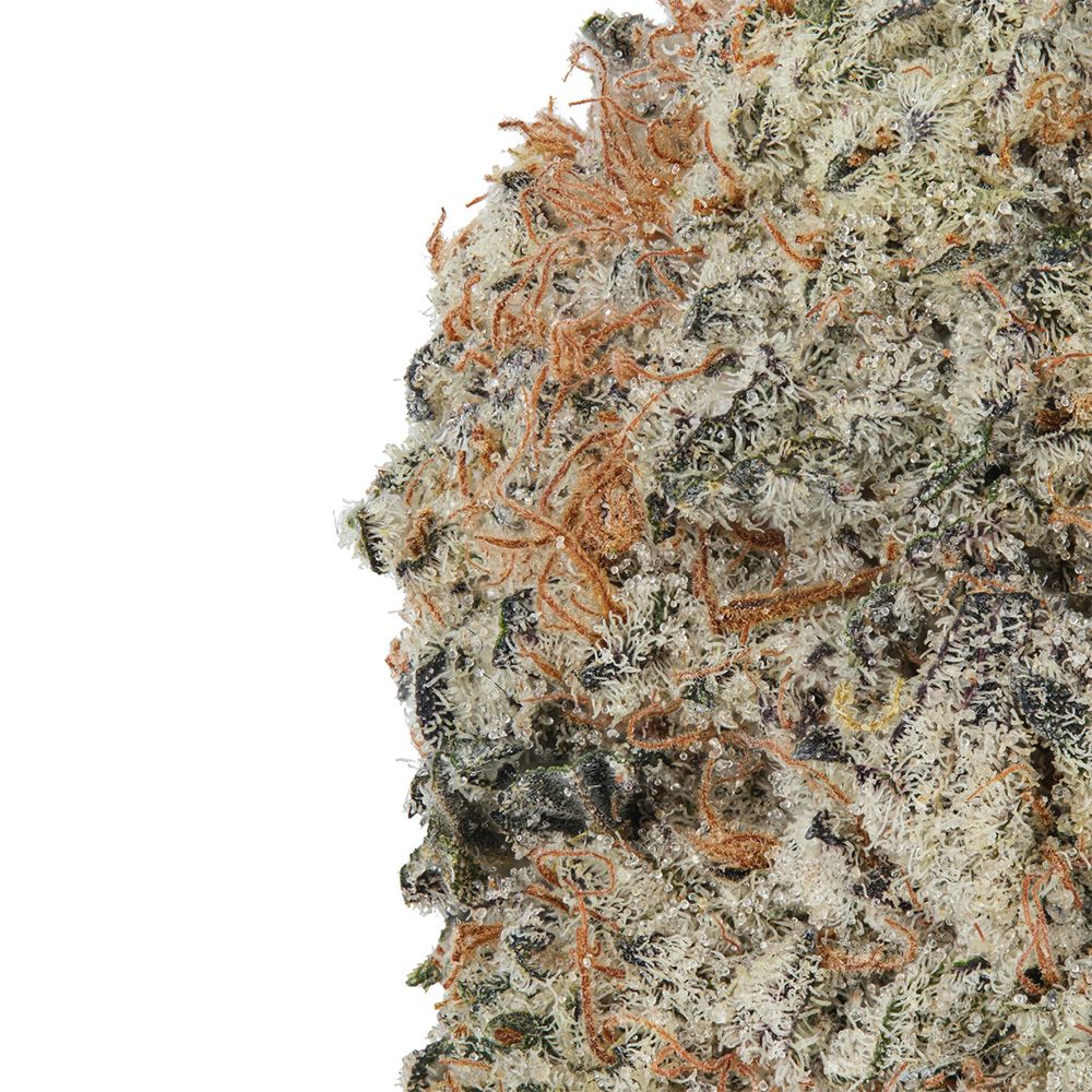 WNC High THCA Indoor Hydro Flower | 3.5g