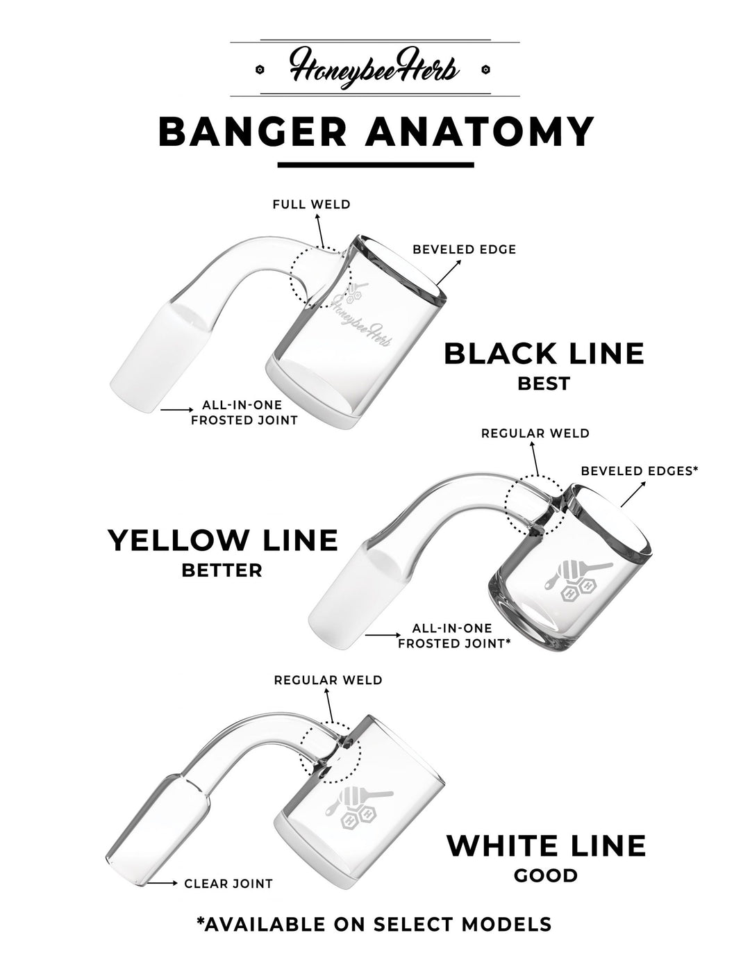 Honeybee Herb banger anatomy