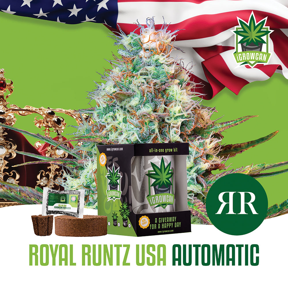 Royal Runtz Automatic iGrowCan - All in One Grow Kit – SnowTree