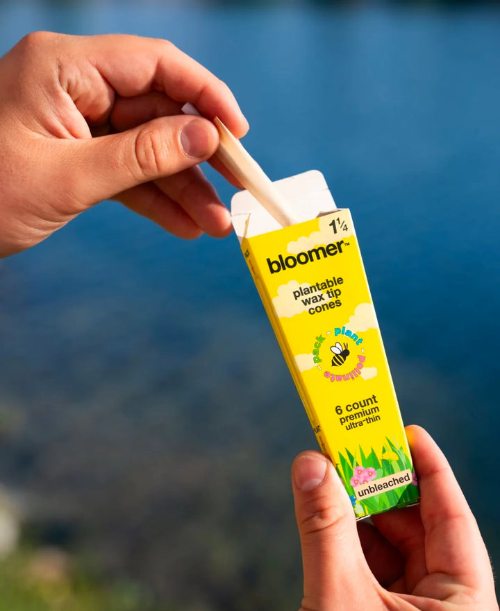 Bloomer 1 1/4" Unbleached Cones (6-Pack)