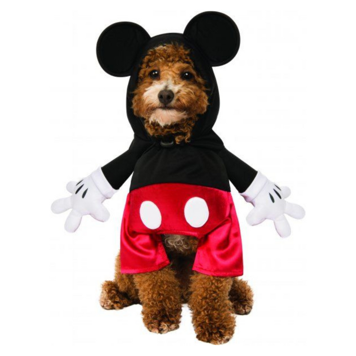 Mickey Mouse Costume