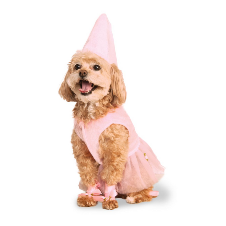 Pet Princess Costume