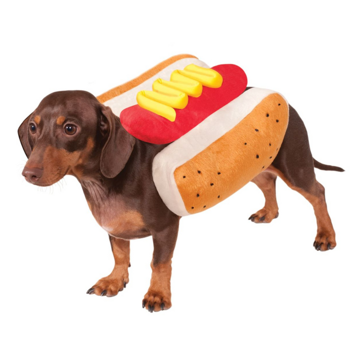 Hot Diggity Dog Costume