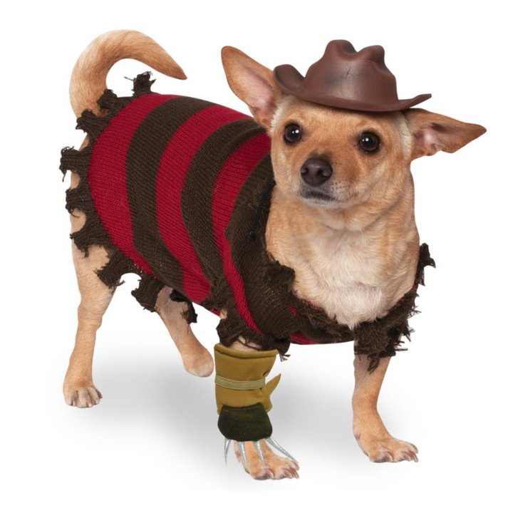 Freddy Krueger Costume