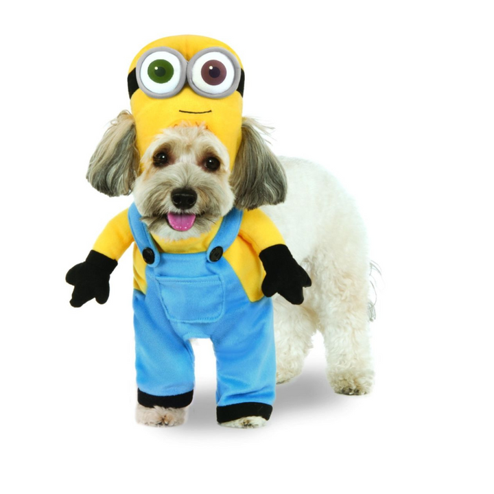 Minion Bob Costume