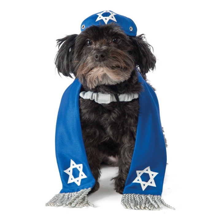 Yarmulke Tallis Pet Costume