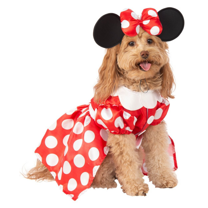 Minnie Mouse Costume