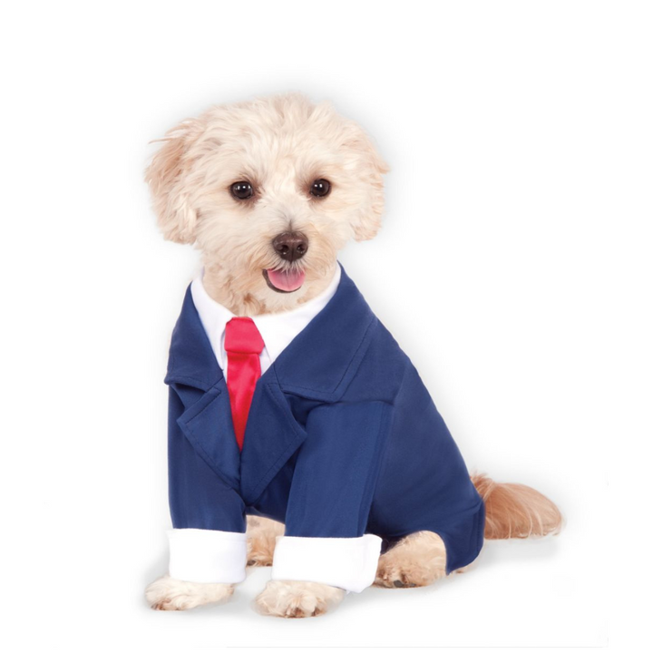 Business Suit Costume