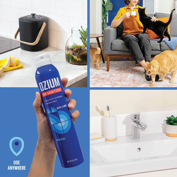 Ozium Air Sanitizer Spray 3.5oz (Outdoor Essence)