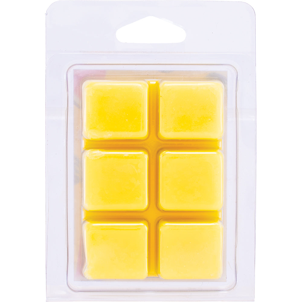 Watermelon Sugar Cloud Wax Melts (6 count)