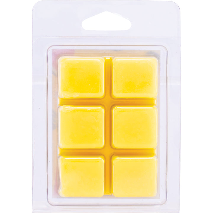 Watermelon Sugar Cloud Wax Melts (6 count)