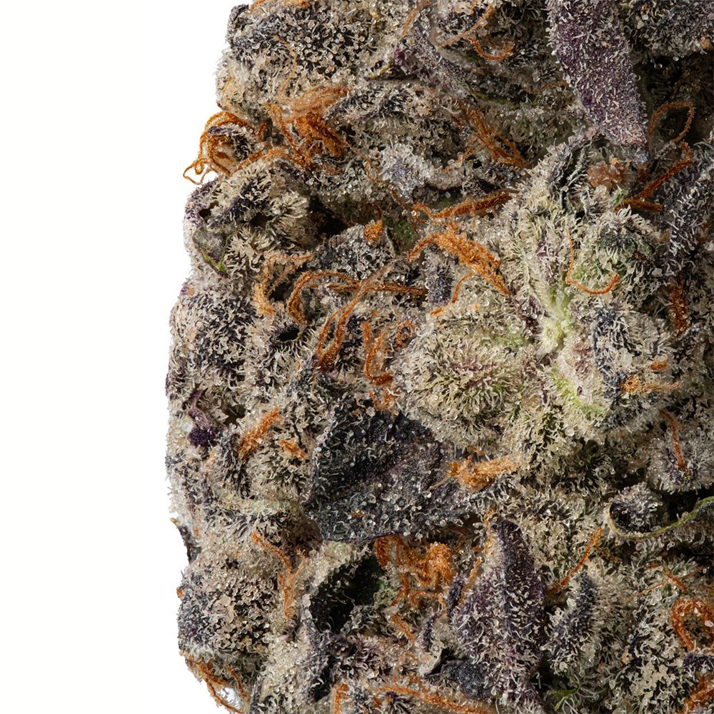 WNC High THCA Indoor Living Soil Flower | 3.5g