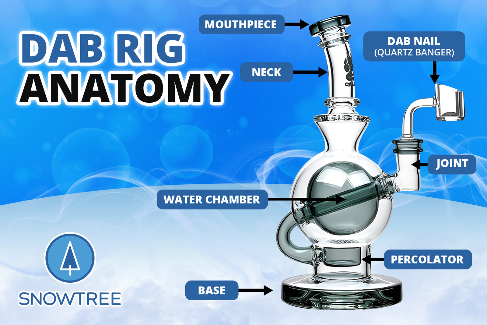 dab rig anatomy