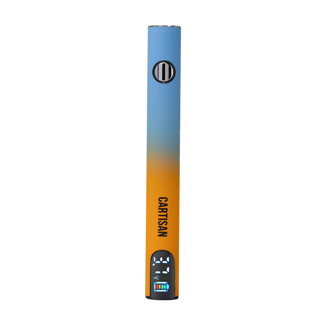Cartisan Pro Pen Neo 900 (Dawn)