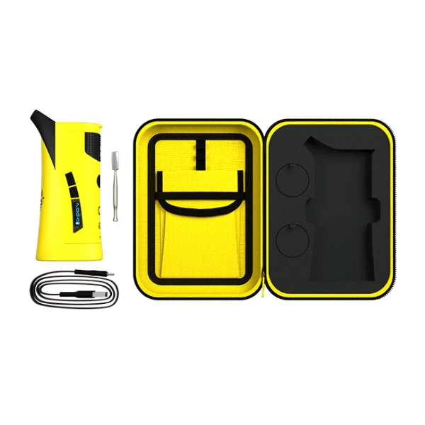 Lemonnade x G Pen Roam case content