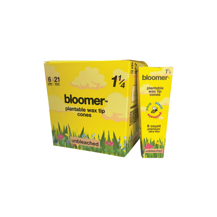 Bloomer 1 1/4" Unbleached Cones (6-Pack)