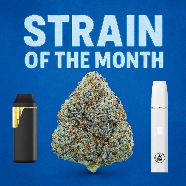 Strain of the Month - THCA